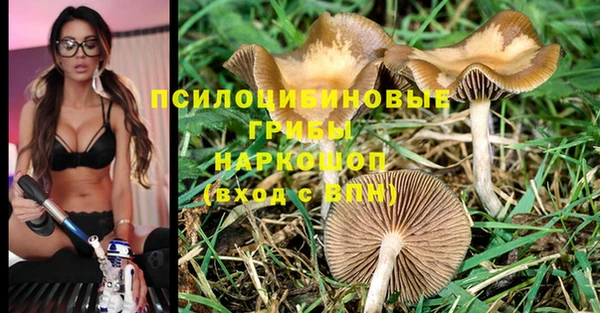 бошки Арсеньев