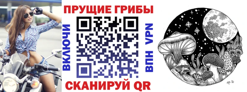площадка Telegram Починок Псилоцибиновые грибы мухоморы